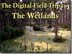 wetlands