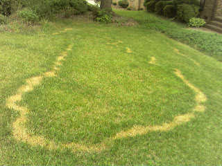 My 70 S House How I Killed My Grass With Weed Feed