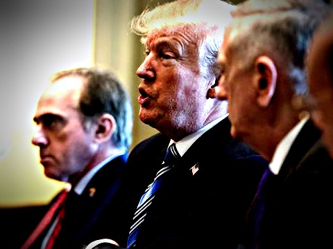 President Trump speaks beside Secretary of Veterans Affairs David Shulkin, left, and other members of his Cabinet during a meeting at the White House