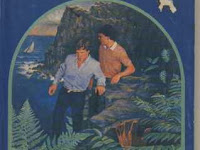 Novel Hardy Boys : Terperangkap Di Laut - Franklin W Dixon