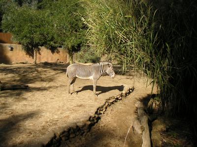 PICT0037.JPG