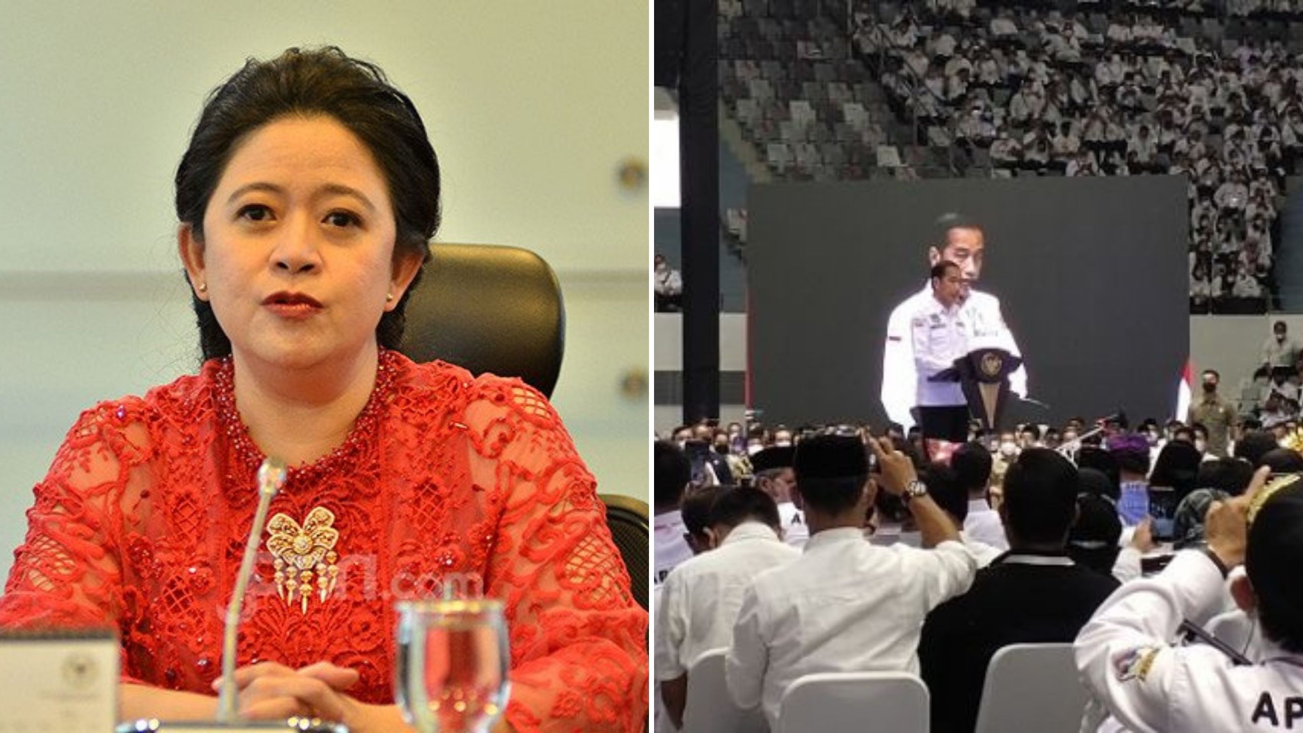 Terungkap! Selain Luhut, Puan Maharani Ternyata Juga Jadi Pengurus APDESI Yang Dukung Jokowi 3 Periode