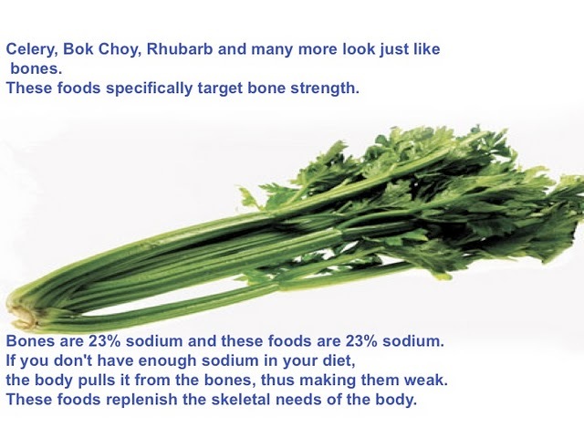 Slide08.jpg