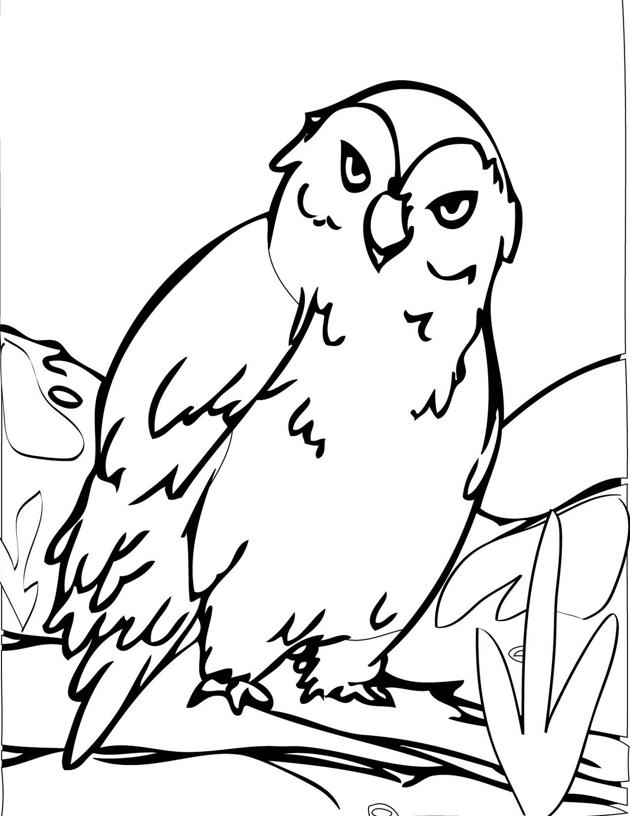 Download Owls Animal Coloring Pages Pictures