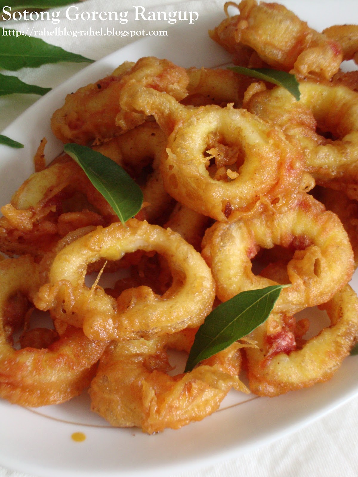 Rahel Blogspot: Sotong Goreng Rangup