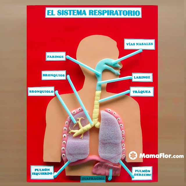 ¿ERES CAPAZ DE REALIZAR LA SIGUIENTE MAQUETA?