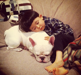 A little boy and his french bulldog are best friends, friendship between boy and his dog, cute dog pictures