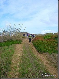 P1120219