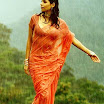 Bollywood actress Mallika Sherawat in wet orange saree - Hot pic
