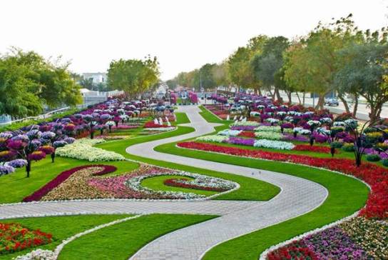 Al-Ain Paradise garden park flower