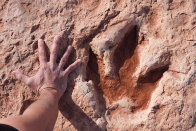 Fosil jejak dinosaurus yang dijumpai di salah satu situs purba di Arizona, AS. Fosil jejak suatu makhluk purba dapat membantu untuk mengintepretasi kondisi fisik dan tingkah laku organisme tersebut