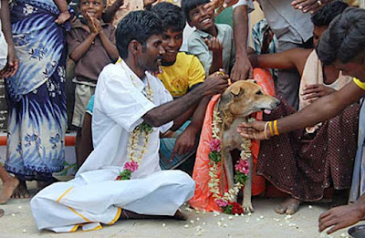 gambar Selva kumar Menikahi Anjing