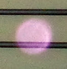 mysterious pink orb