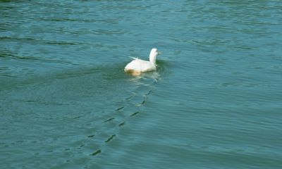 20150606_150218