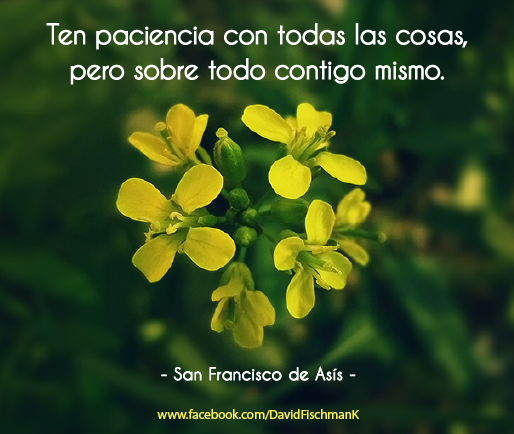 REFLEXIÓN: TEN PACIENCIA CON TODAS LAS COSAS