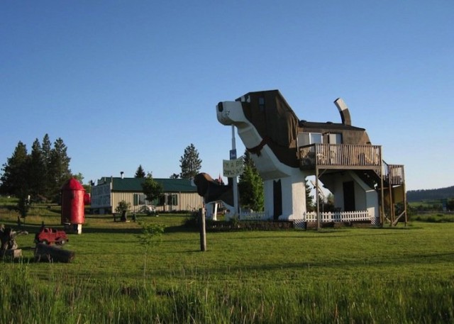 A Dog Shaped Hotel in Idaho