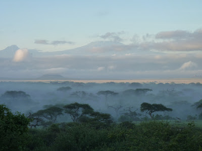 African dawn