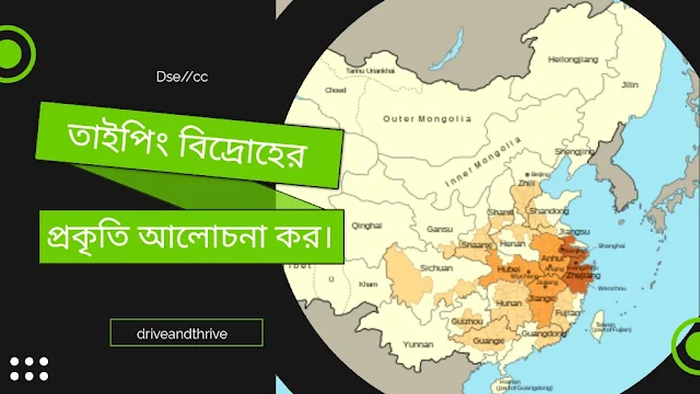 তাইপিং বিদ্রোহের প্রকৃতি আলোচনা কর।