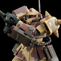 P-Bandai HG 1/144 ZAKU DESERT TYPE(DOUBLE ANTENNA TYPE) Color Guide & Paint Conversion Chart