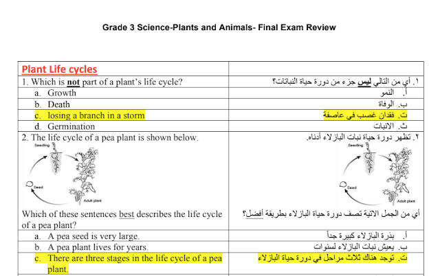 أوراق عمل Plants and Animals العلوم المتكاملة الصف الثالث