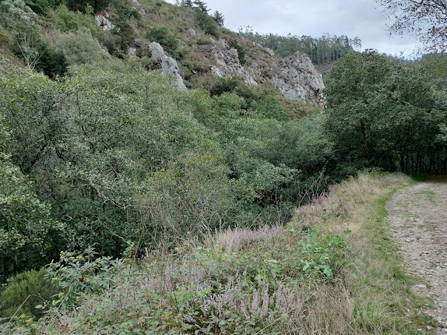 Valle y ladera