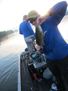 susquehanna smallmouth