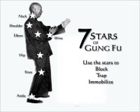 Yip Man 7 Stars of Gung Fu