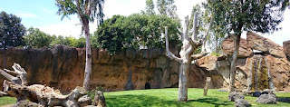 Bioparc Valencia.