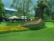 Ide Penting Gambar Wallpaper Taman Kartun, Gambar Taman