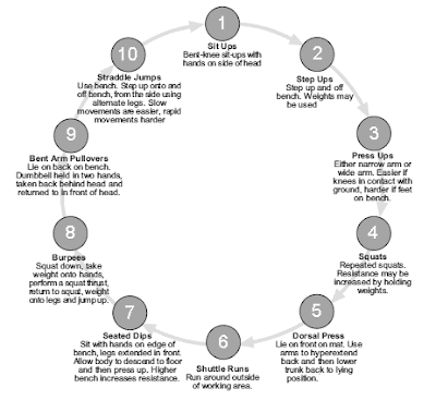 Circuit Training 10