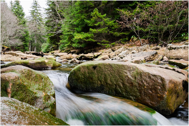 Backpacking Dolly Sods