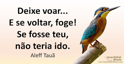 Deixe voar... E se voltar, foge!  Se fosse teu, não teria ido.  Aleff Tauã