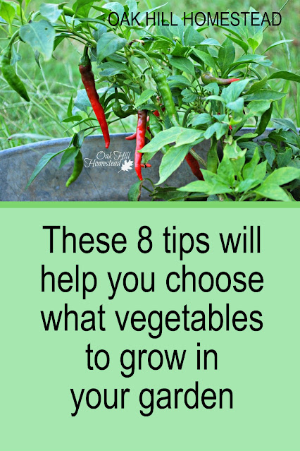Text: "How to decide what vegetables to grow in your raised bed garden"