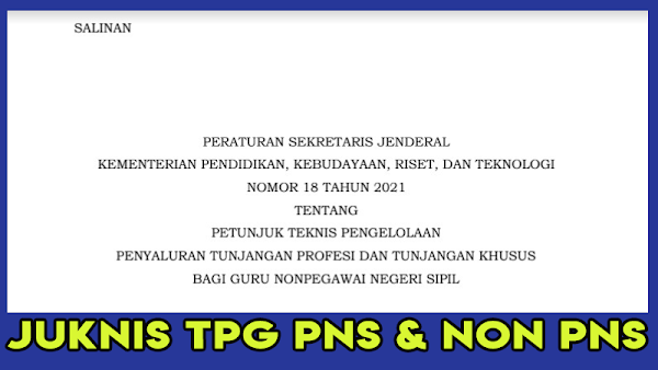 JUKNIS TPG DAN TUNJANGAN KHUSUS GURU NON PNS 2021 - PERSESJEN KEMENDIKBUDRISTEK NO 18 TAHUN 2021