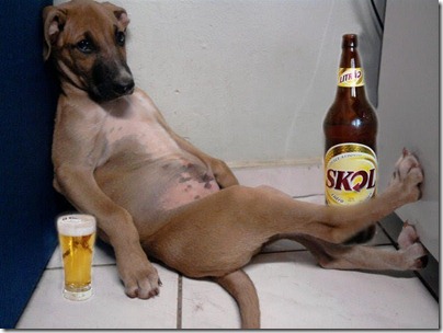 drunkdog
