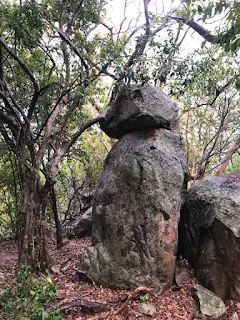 Rocks and trees