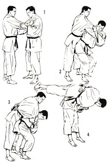 techniques judo