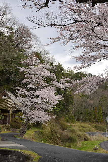 鳥取県西伯郡南部町倭 法勝寺川沿いの堤防道路