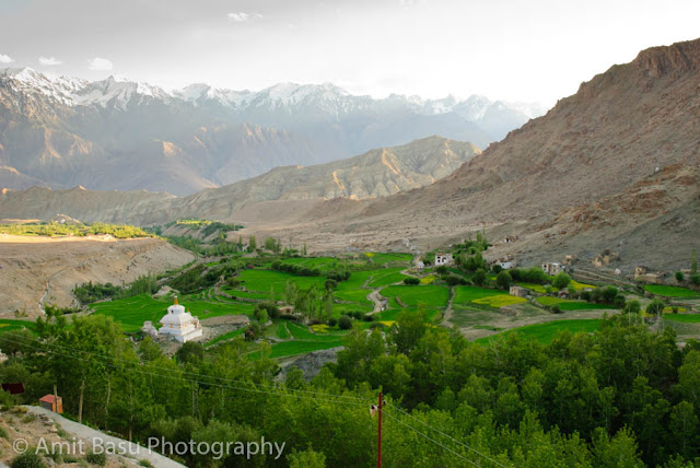 India- - Ladakh : Likir monastery