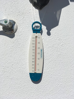 Kujutis