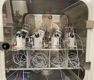 World's first 'living computer' made out of human BRAINS