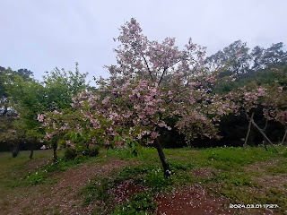 新埔鎮日本公園