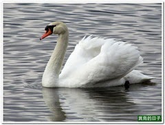 20140402_061348_029_ShanZhong_Lake