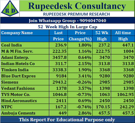 52  Week High In Large Cap