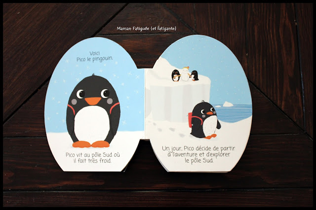 e aventure antarctique pingouin ballon