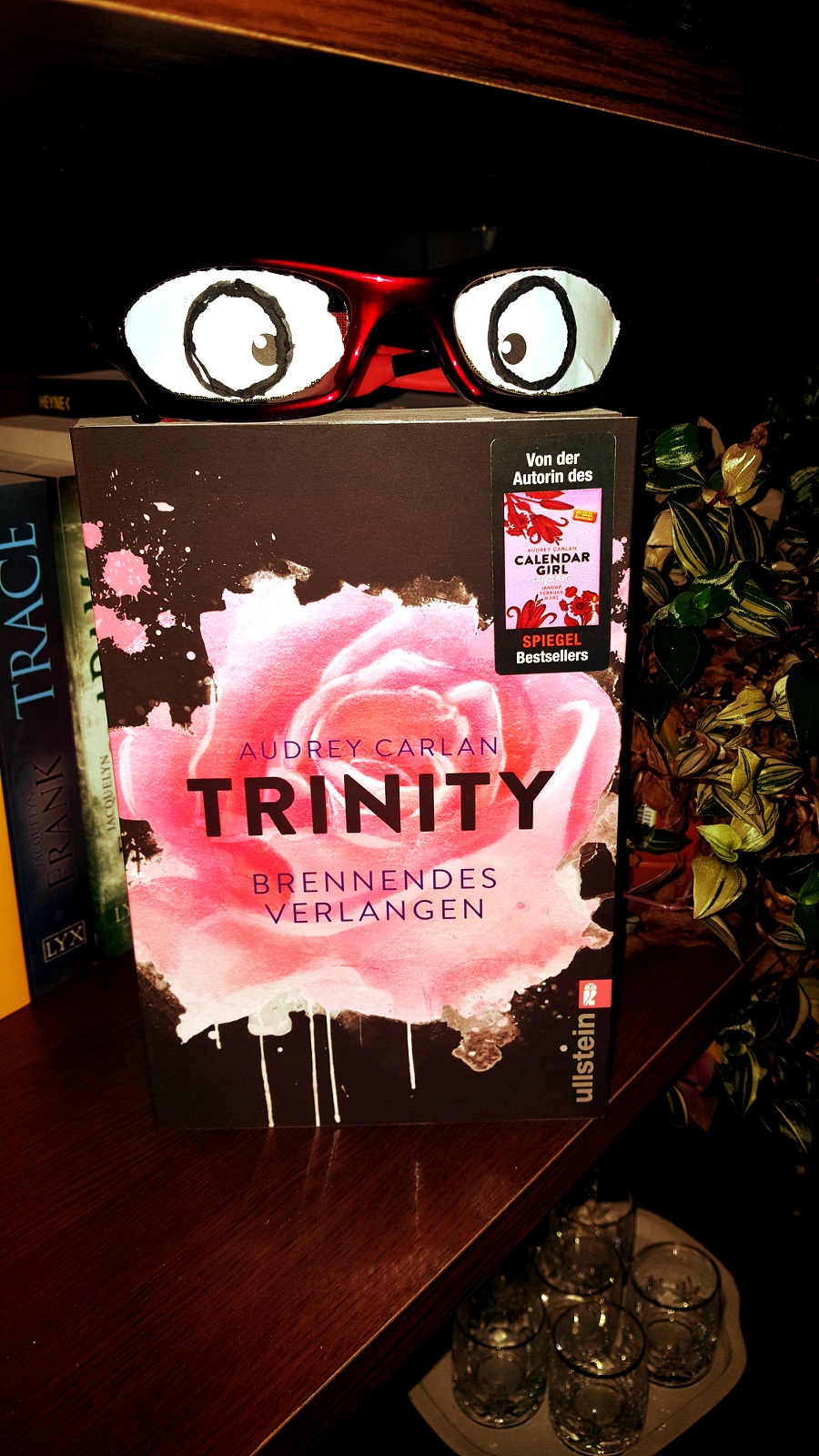 Trinity Brennendes Verlangen Die TrinitySerie Band 5 PDF Epub-Ebook