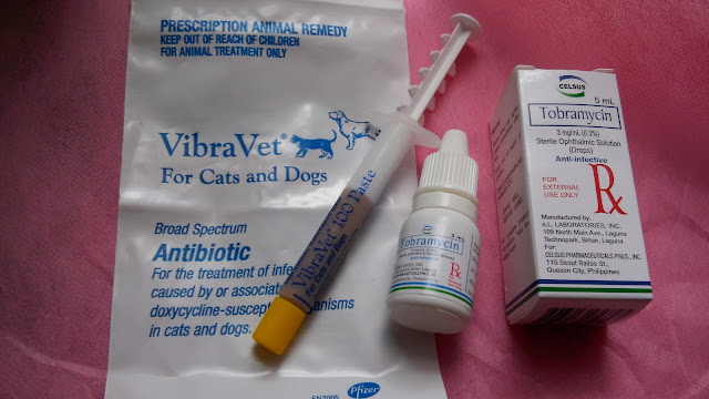 animal blogger philippines, pet blogger philippines, vibravet, tobramycin,