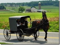 amish for blog