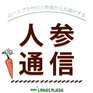 人参通信第12号「リコペンの抗酸化作用」を発行しました