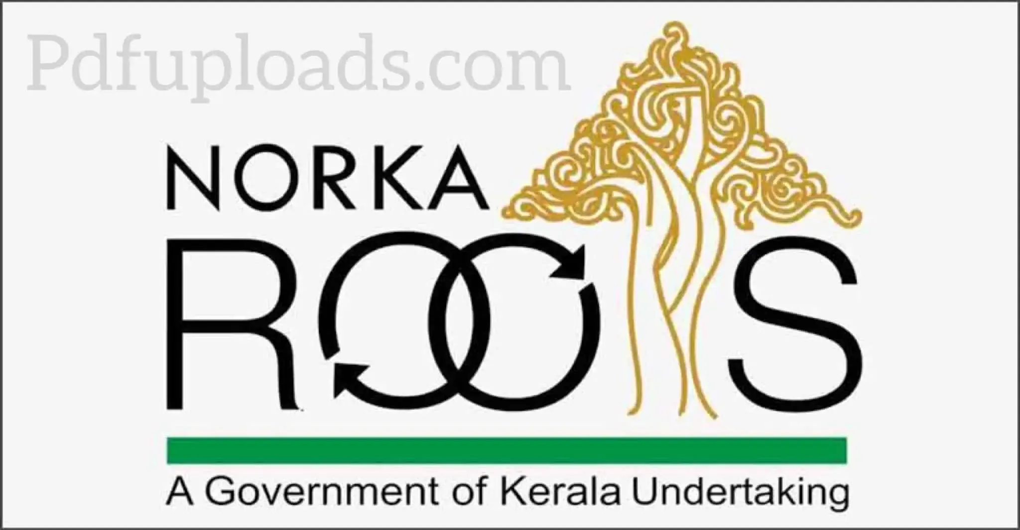 How to register NORKA ROOT l Pravasi ID Card